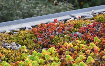 the cost of Shudy Camps green roof installation
