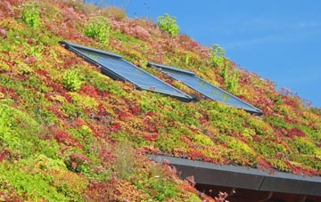 Shudy Camps living roof systems