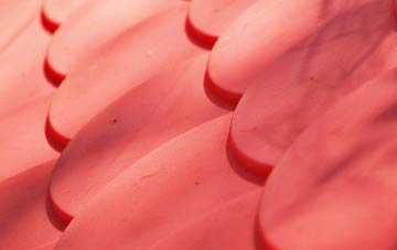 Shudy Camps plastic roof costs