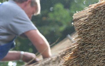 professional Shudy Camps thatchers