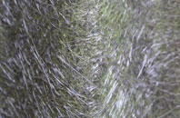 Shudy Camps fibreglass roof work